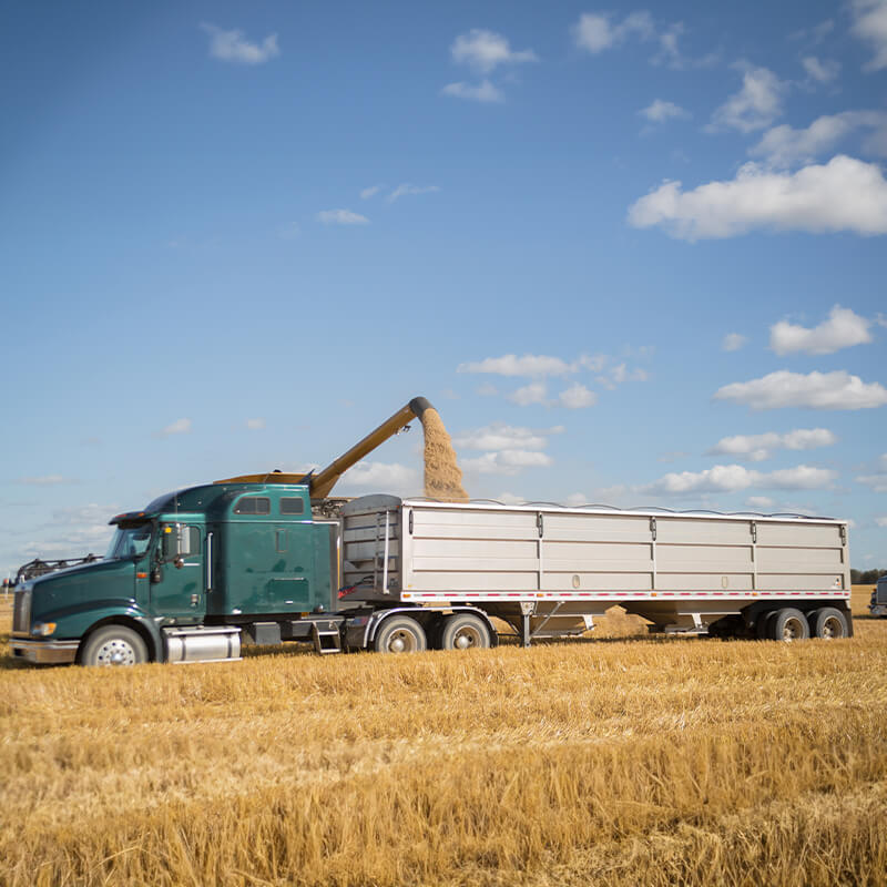 Dry Bulk Truck