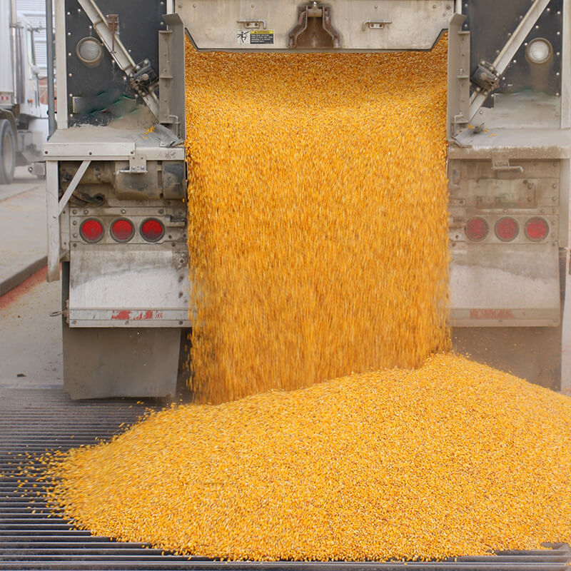 Dry Bulk Truck